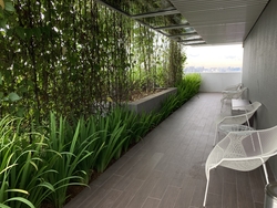 8 Saint Thomas (D9), Condominium #208907991